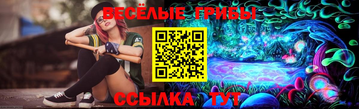 Галлюциногенные грибы Magic Shrooms  Вход с VPN  Гудермес  Галлюциногенные грибы Magic Shrooms 